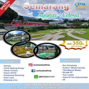 Open Trip Tour Semarang Ayanaz – Celosia